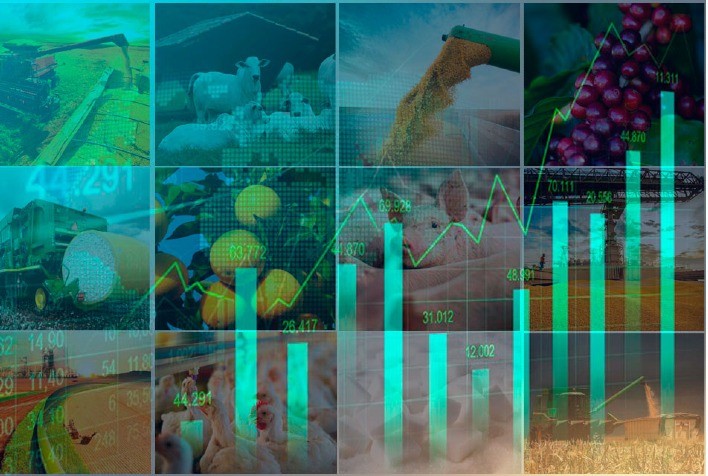 FMI: Agro coloca o Brasil como 9ª economia mundial